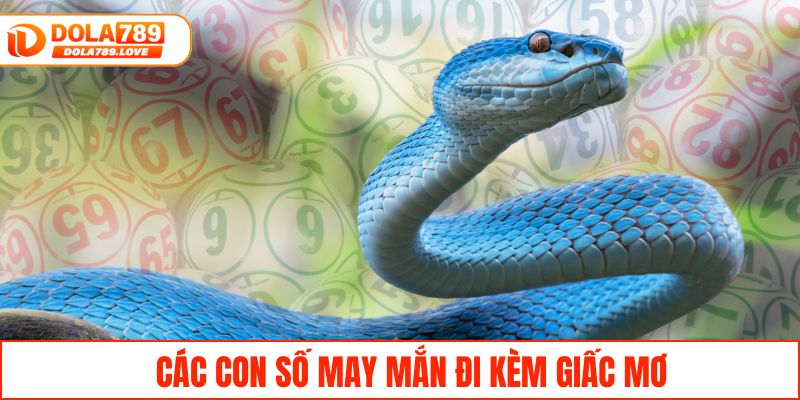 Nằm Mơ Thấy Rắn - Giải Mã Tâm Linh Và Dự Báo Lô Đề Các con số may mắn đi kèm giấc mơ