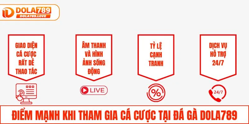 Điểm mạnh khi tham gia cá cược tại đá gà DOLA789
