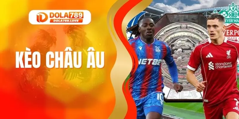 Hướng Dẫn Đọc Và Đặt Cược Kèo Châu Âu Nhanh Thắng Đậm 2025 Hướng Dẫn Đọc Và Đặt Cược Kèo Châu Âu Nhanh Thắng Đậm 2025