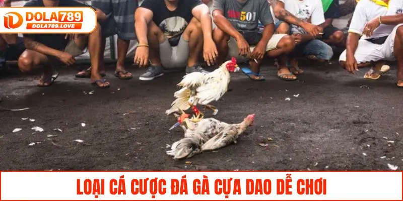 Đá Gà Cựa Dao - Tìm Hiểu Luật Và Các Hình Thức Cược Dễ Chơi Loại cá cược đá gà cựa dao dễ chơi