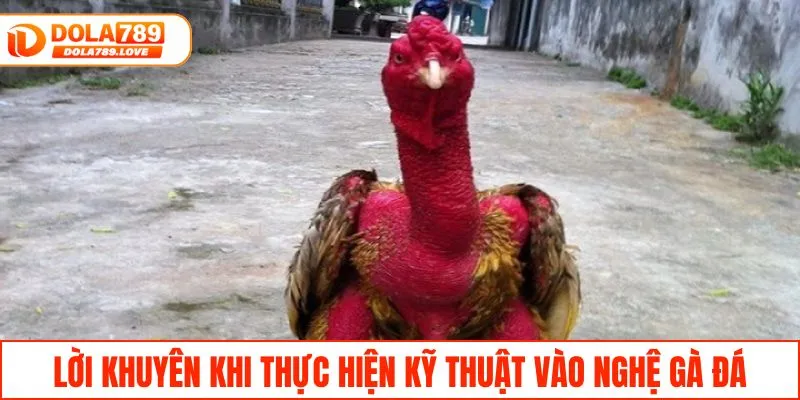 Kỹ Thuật Vào Nghệ Gà Đá Bền Sức Và Lì Đòn Hiệu Quả Lời khuyên khi thực hiện kỹ thuật vào nghệ gà đá