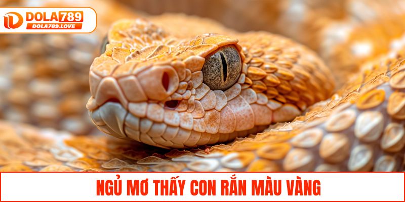 Nằm Mơ Thấy Rắn - Giải Mã Tâm Linh Và Dự Báo Lô Đề Ngủ mơ thấy con rắn màu vàng