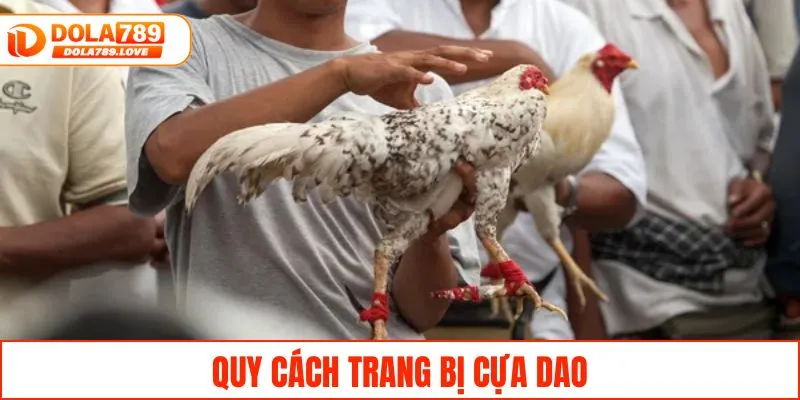 Đá Gà Cựa Dao - Tìm Hiểu Luật Và Các Hình Thức Cược Dễ Chơi Quy cách trang bị cựa dao
