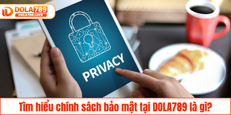 Chính Sách Bảo Mật DOLA789 - Bảo Vệ Thông Tin Tuyệt Đối Tìm hiểu chính sách bảo mật tại DOLA789 là gì?