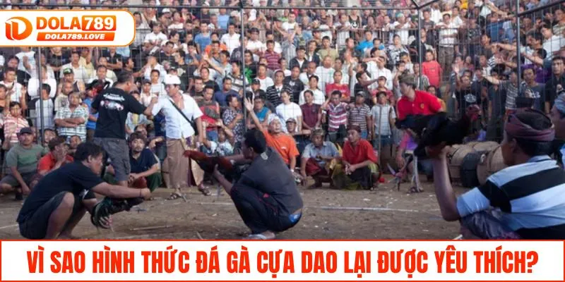Đá Gà Cựa Dao - Tìm Hiểu Luật Và Các Hình Thức Cược Dễ Chơi Vì sao hình thức đá gà cựa dao lại được yêu thích?